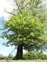 Photo uploaded by <i>Arpi</i> on 06/12/2017