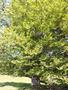 Photo uploaded by <i>Arpi</i> on 06/17/2017