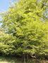 Photo uploaded by <i>Arpi</i> on 06/17/2017