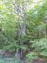 Photo uploaded by <i>Arpi</i> on 06/17/2017