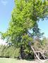 Photo uploaded by <i>Arpi</i> on 06/17/2017