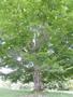 Photo uploaded by <i>Arpi</i> on 06/23/2017