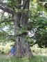 Photo uploaded by <i>Arpi</i> on 07/11/2017
