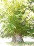 Photo uploaded by <i>Arpi</i> on 07/11/2017