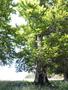 Photo uploaded by <i>Arpi</i> on 07/12/2017