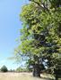 Photo uploaded by <i>Arpi</i> on 07/12/2017