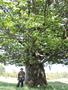 Photo uploaded by <i>Arpi</i> on 07/16/2017