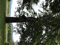Photo uploaded by <i>Arpi</i> on 07/26/2017