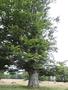 Photo uploaded by <i>Arpi</i> on 07/26/2017