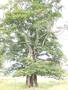 Photo uploaded by <i>Arpi</i> on 07/26/2017