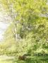 Photo uploaded by <i>Arpi</i> on 07/27/2017