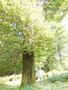 Photo uploaded by <i>Arpi</i> on 07/27/2017