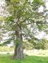 Photo uploaded by <i>Arpi</i> on 07/27/2017