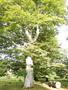 Photo uploaded by <i>Arpi</i> on 07/27/2017