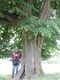 Photo uploaded by <i>Arpi</i> on 08/06/2017