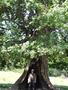 Photo uploaded by <i>Arpi</i> on 08/06/2017
