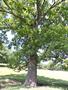 Photo uploaded by <i>Arpi</i> on 08/06/2017