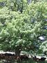 Photo uploaded by <i>Arpi</i> on 08/06/2017
