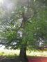 Photo uploaded by <i>Arpi</i> on 08/06/2017