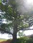 Photo uploaded by <i>Arpi</i> on 08/06/2017