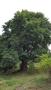 Photo uploaded by <i>Gionea Ana</i> on 08/18/2017
