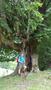 Photo uploaded by <i>Gionea Ana</i> on 08/18/2017