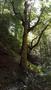 Photo uploaded by <i>Gionea Ana</i> on 08/18/2017