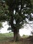 Photo uploaded by <i>Arpi</i> on 08/19/2017