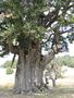 Photo uploaded by <i>Arpi</i> on 08/27/2017