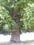 Photo uploaded by <i>Arpi</i> on 08/27/2017