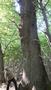 Photo uploaded by <i>AML</i> on 09/10/2017