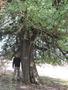 Photo uploaded by <i>Arpi</i> on 10/06/2017