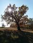 Photo uploaded by <i>TReka</i> on 10/23/2017