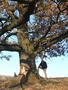 Photo uploaded by <i>Arpi</i> on 11/07/2017