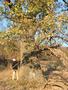Photo uploaded by <i>Arpi</i> on 11/07/2017