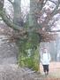 Photo uploaded by <i>Arpi</i> on 11/22/2017