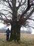 Photo uploaded by <i>Arpi</i> on 11/22/2017