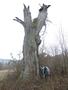 Photo uploaded by <i>Arpi</i> on 12/06/2017