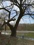 Photo uploaded by <i>Bartapeter44</i> on 04/05/2018