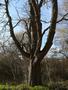 Photo uploaded by <i>Bartapeter44</i> on 04/05/2018