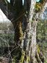 Photo uploaded by <i>Bartapeter44</i> on 04/05/2018