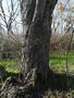 Photo uploaded by <i>Bartapeter44</i> on 04/05/2018