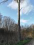 Photo uploaded by <i>Bartapeter44</i> on 04/05/2018