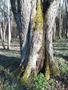 Photo uploaded by <i>Bartapeter44</i> on 04/06/2018