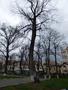 A fotót feltöltötte <i>noemi.baciu.1</i>   2018.04.07.