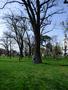 Photo uploaded by <i>noemi.baciu.1</i> on 04/11/2018