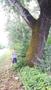 Photo uploaded by <i>viorelarghius</i> on 06/04/2018