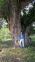 Photo uploaded by <i>viorelarghius</i> on 06/09/2018