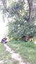 Photo uploaded by <i>viorelarghius</i> on 06/09/2018