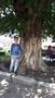 Photo uploaded by <i>viorelarghius</i> on 06/09/2018